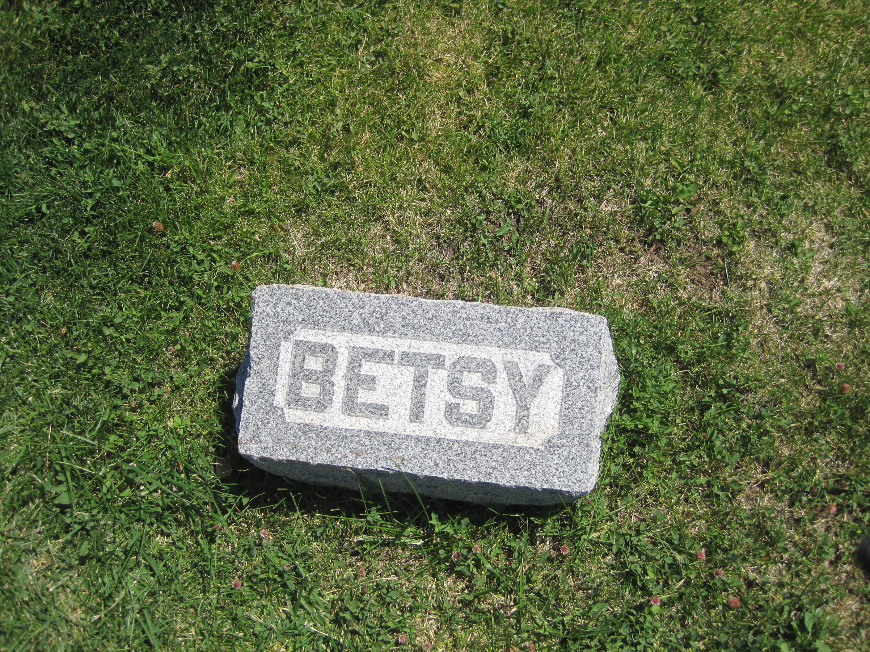 Betsy