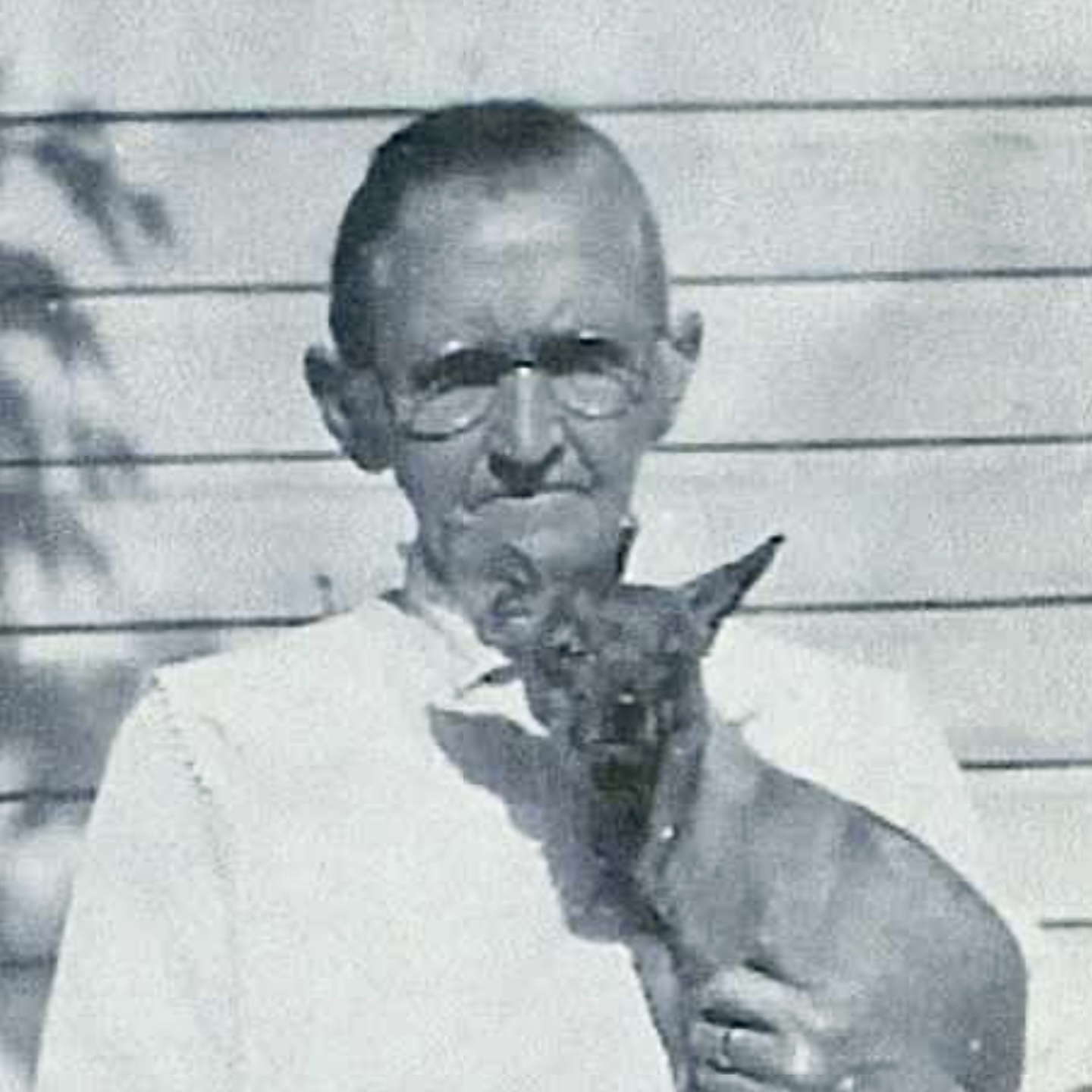 Johanna Martine Amelia Petersen